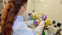 Image: A researcher wearing a lab coat and gloves works at a laboratory bench, using a pipette; Copyright: KTH
