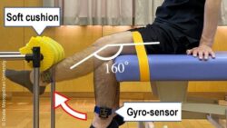 Image: A patient is examined and measured for seated knee extension speed, quadriceps strength, knee range of motion, and knee pain; Copyright: Osaka Metropolitan University